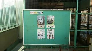 本多聞小学校