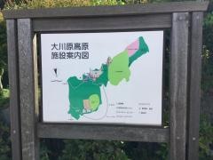 大川原放牧場