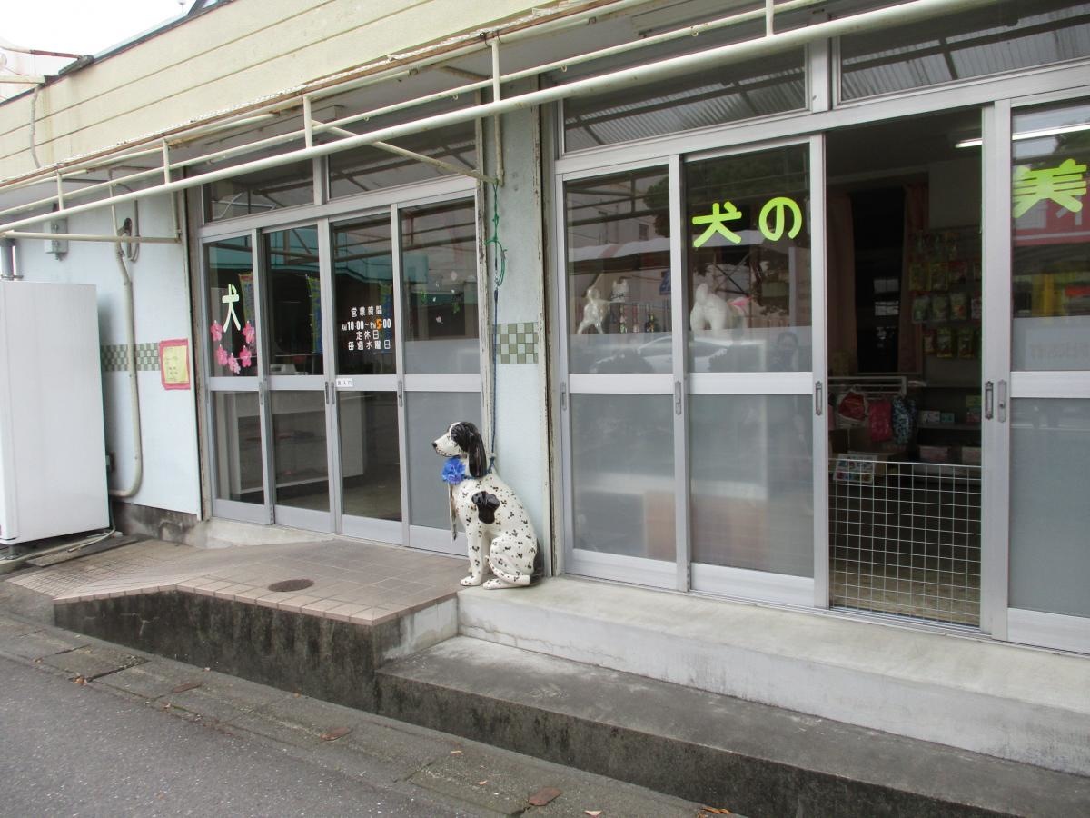 建物