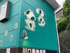 川口動物病院