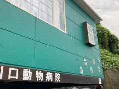 川口動物病院
