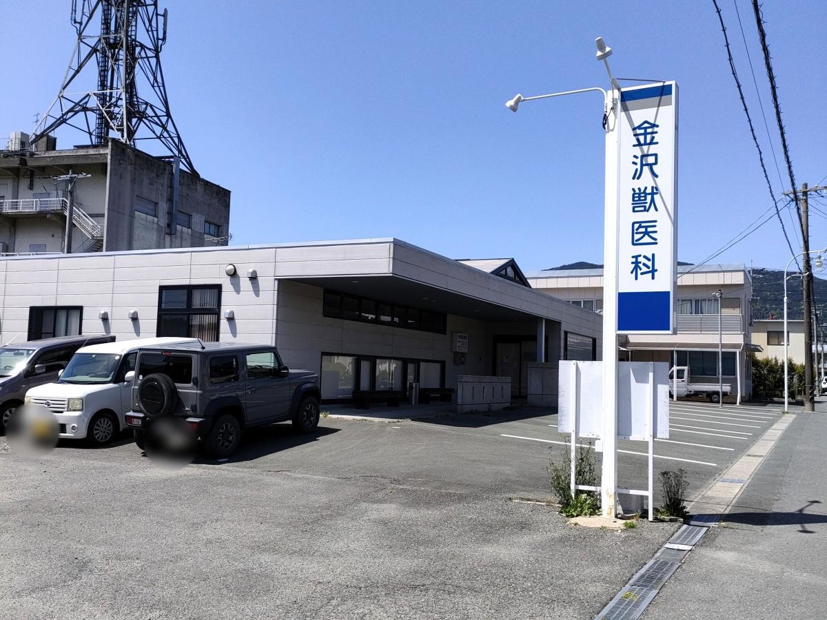 南側から