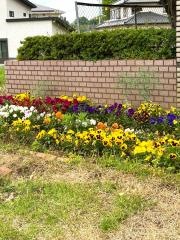 かがやきの郷