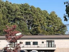 特別養護老人ホーム　めぐみの杜
