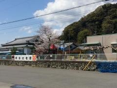東海幼稚園
