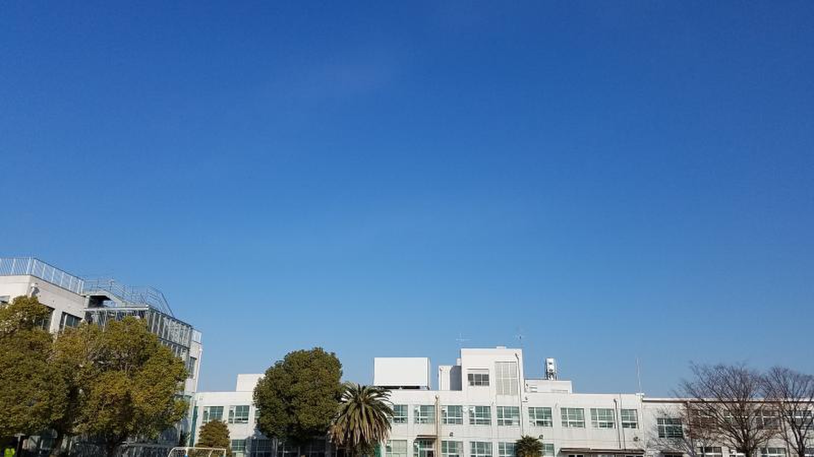 大生 小学校