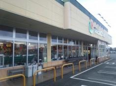 マルショク　江津店