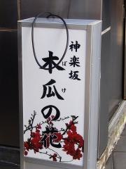 木瓜の花_看板
