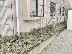 小川内科胃腸科医院