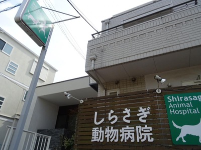 ドッグメディカル しらさぎ動物病院