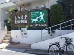 しらさぎ動物病院