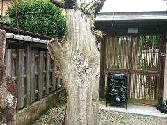 ギャラリー喫茶高畑