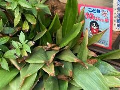 いさ美庵