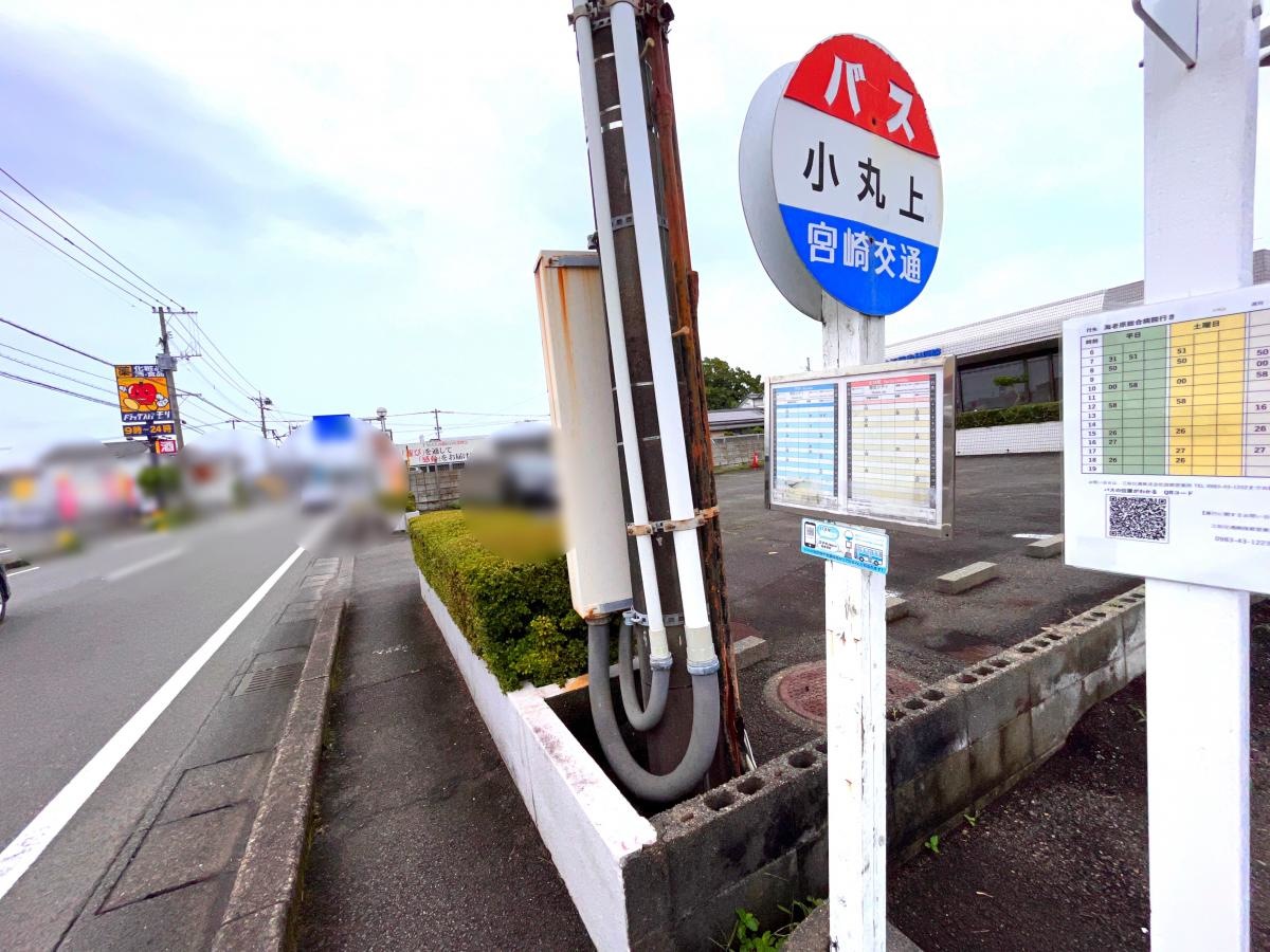 全体