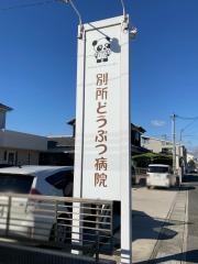 別所どうぶつ病院