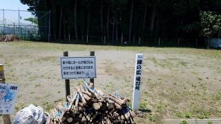 緑の広場32号