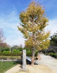 鷲部公園