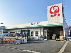 コメリハード＆グリーン　泗水店