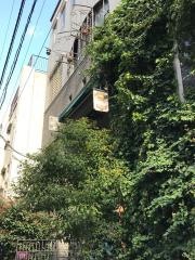 ムルソー