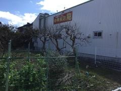 中華飯店龍