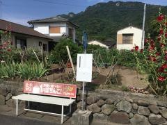 「牟田漁港」バス停留所