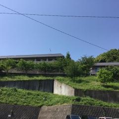 橘の丘