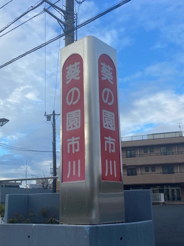 葵の園・市川