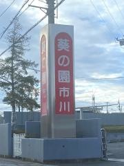 葵の園・市川