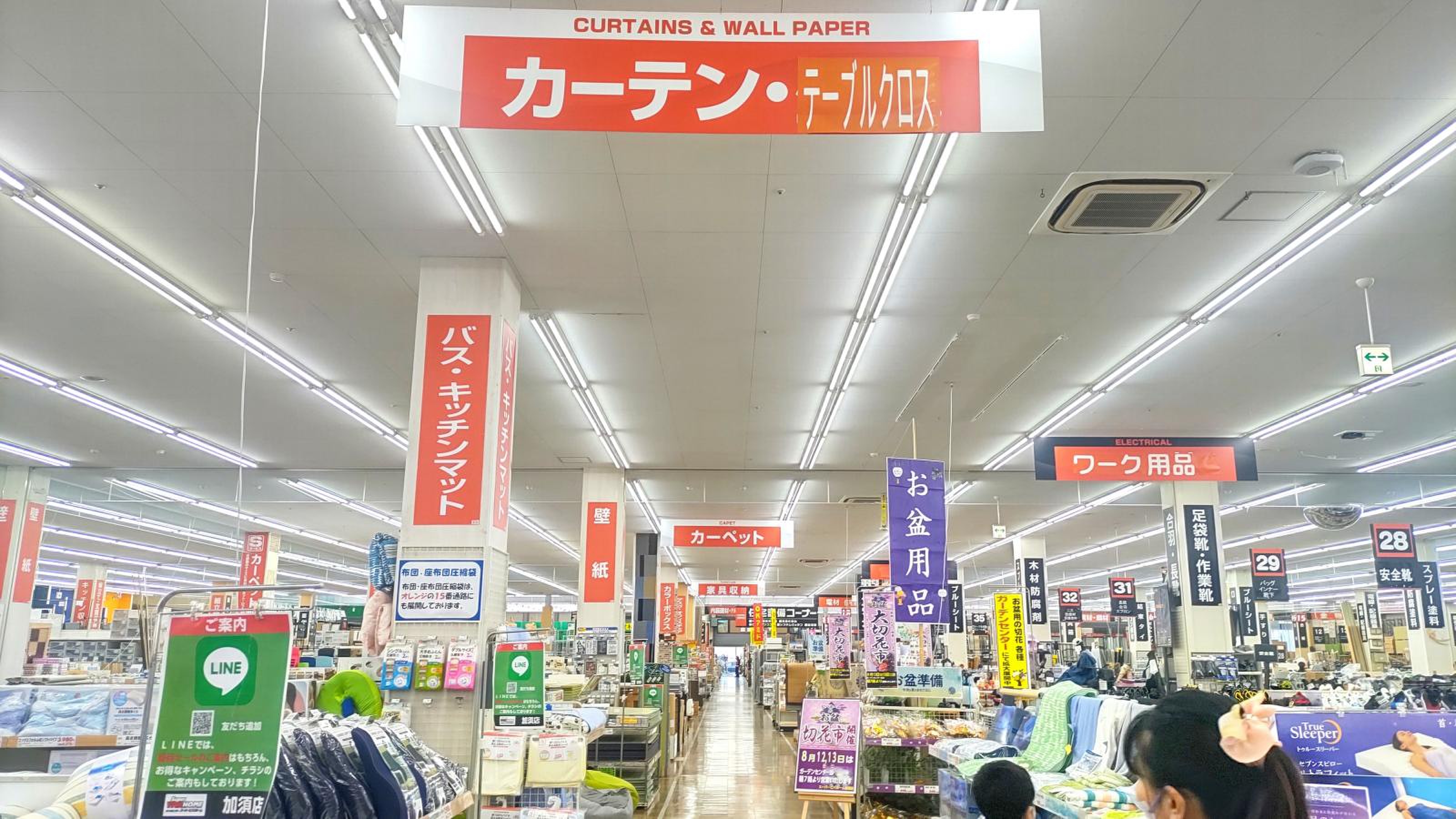 活動歴および当時の関連ビジュアル記録
