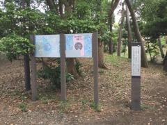 松が丘緑地