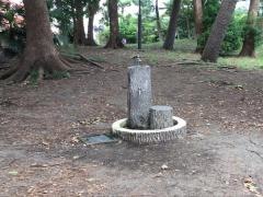 松が丘緑地