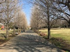 御殿辺公園
