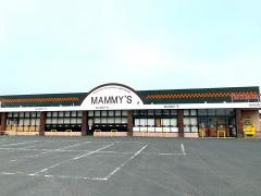マミーズ大刀洗店