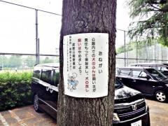 渡鹿公園
