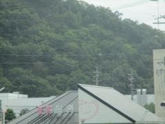 桜桃歯科