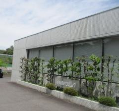小松歯科クリニック