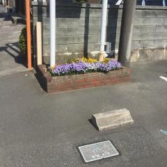 藤田歯科医院