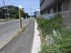 「竹生観音」バス停留所