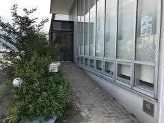 さかもと歯科医院