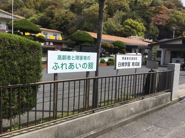 白鳩老人
