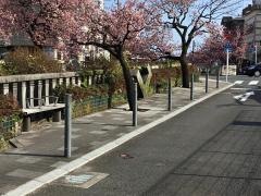 糸川遊歩道
