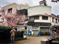 糸川遊歩道