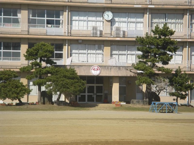 投稿写真6