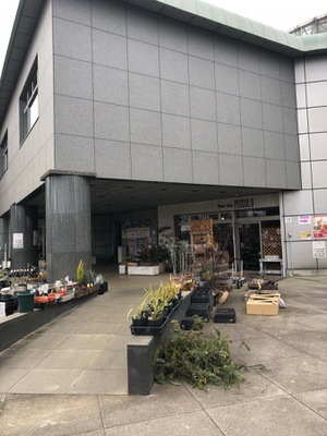 旅探 たびたん 小田原フラワーガーデン 小田原市久野