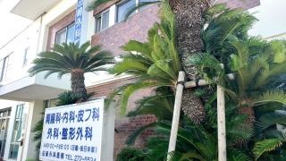 田崎胃腸外科