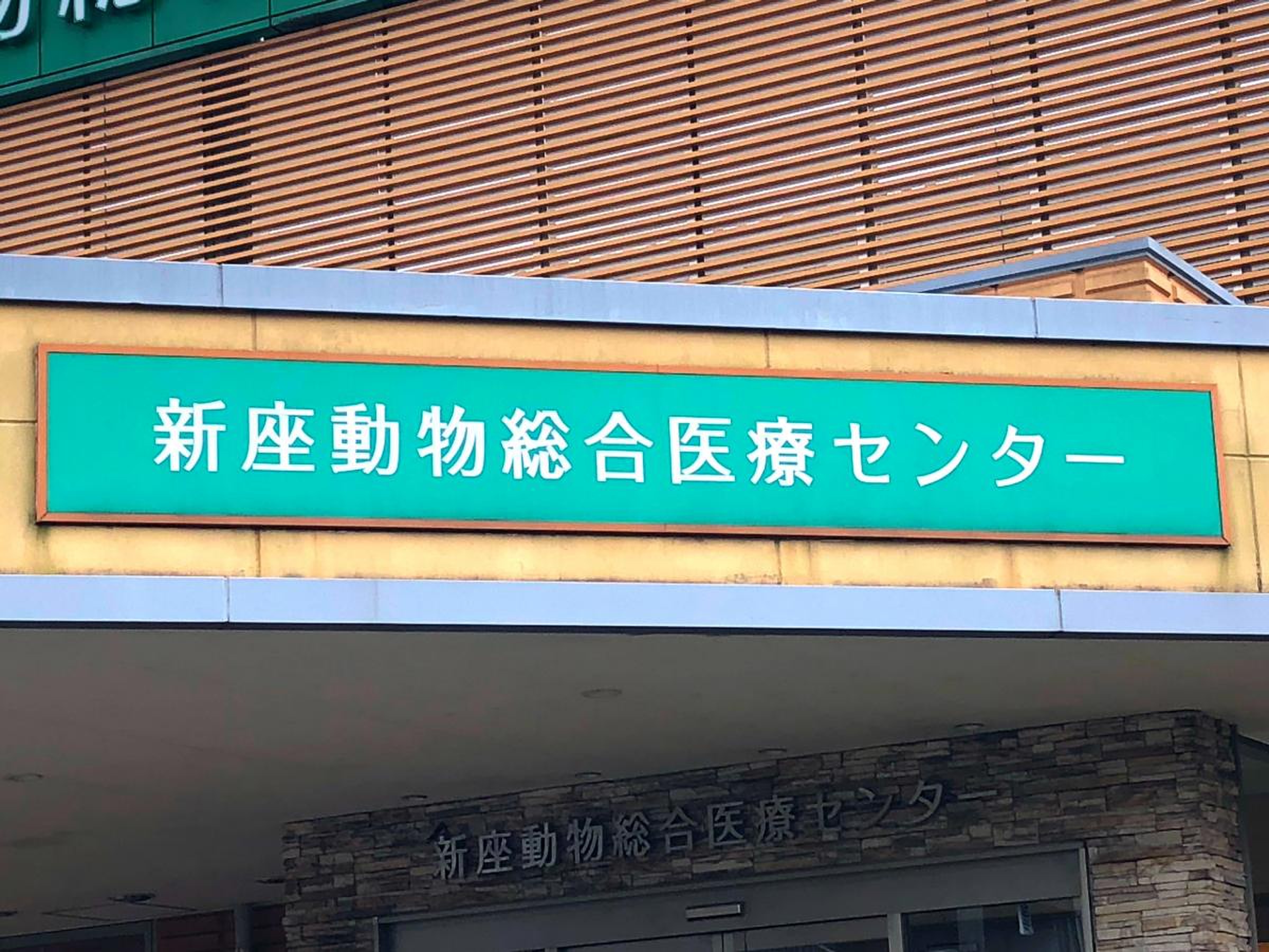 新座 動物 総合 医療 センター