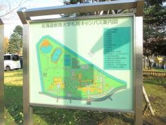 北海道教育大学附属札幌小学校