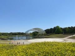 国営ひたち海浜公園