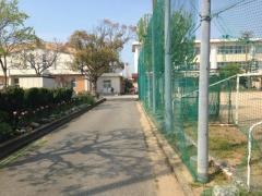 犬丸小学校