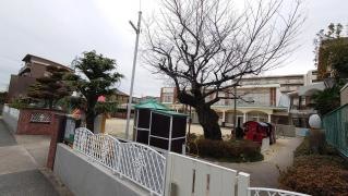 みずほが丘幼稚園